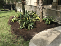 Fountain-of-Youth-landscaping-0225