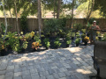 Landscaping-1524