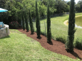 Yankee-Clipper-Irrigation-St-Augustine-Florida-Drainage-Landscape-Lighting-21