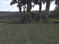 Yankee-Clipper-Irrigation-St-Augustine-Florida-Drainage-Landscape-Lighting-29