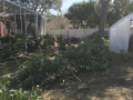 Yard-Clean-Up-0582