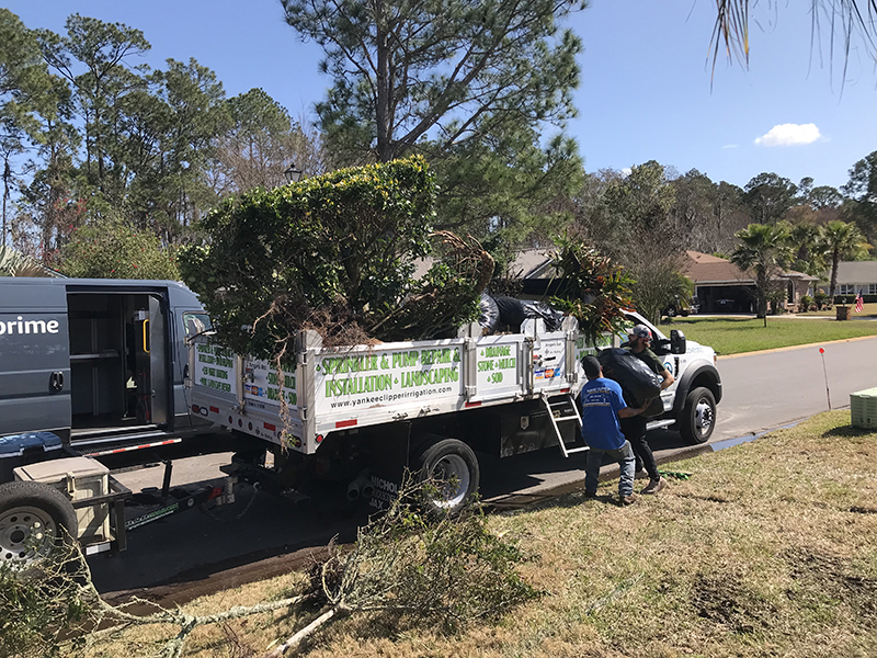 Yard Clean Up – 3158